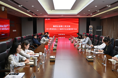 深刻领会全会精神  强化责任担当  集团总部第二党支部召开学习贯彻党的二十届四中全会精神学习会