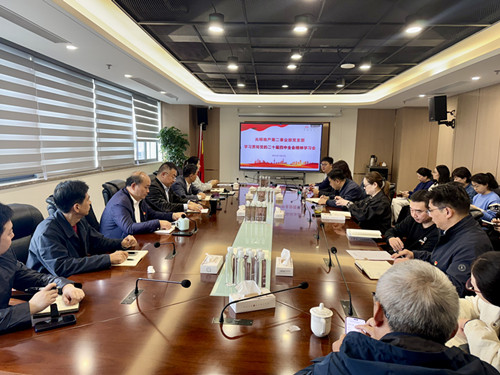 第二事业部党支部召开学习贯彻党的二十届四中全会精神专题会议